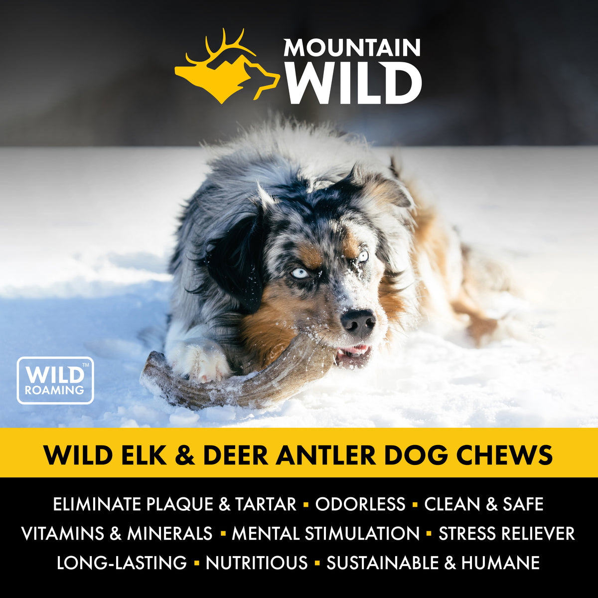 Elk antler hotsell dog chews safety