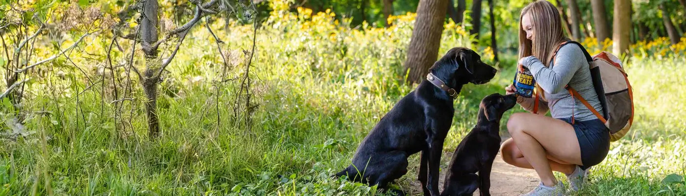 HIGH COUNTRY BLUEBERRY RECIPE