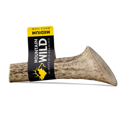 Medium Mountain Wild elk and deer antler chew. A dog chew full of vitamins and minerals.